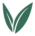 bf eco leaf3